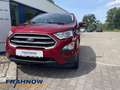 Ford EcoSport Trend 1.0 EcoBoost EU6d-T WiPA ABS/ASR ESP Rouge - thumbnail 16