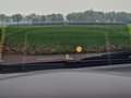 Mazda 3 2.0 SkyActiv-G 120 GT-M Rouge - thumbnail 20