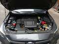 Subaru Crosstrek Style Grau - thumbnail 14