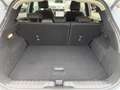 Ford Puma 1,0 EcoBoost Hybrid Titanium Aut. Weiß - thumbnail 13