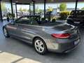 Mercedes-Benz 220 C C220d Aut Navi Leder Airscarf Akustik Navi LED Grau - thumbnail 24