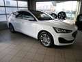 Ford Focus Turnier 1,5 EcoBlue Titanium Edition Aut. Weiß - thumbnail 3
