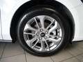Ford Focus Turnier 1,5 EcoBlue Titanium Edition Aut. Weiß - thumbnail 4