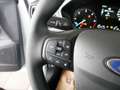 Ford Focus Turnier 1,5 EcoBlue Titanium Edition Aut. Weiß - thumbnail 10