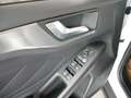 Ford Focus Turnier 1,5 EcoBlue Titanium Edition Aut. Weiß - thumbnail 5