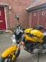 Ducati Monster 600 Geel - thumbnail 5