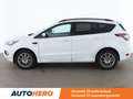 Ford Kuga 2.0 TDCi ST-Line Blanc - thumbnail 2