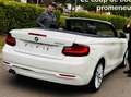 BMW 220 Cabriolet 220iAS ***   LUXURY LINE  *** Wit - thumbnail 18
