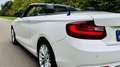 BMW 220 Cabriolet 220iAS ***   LUXURY LINE  *** Wit - thumbnail 10