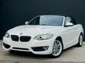 BMW 220 Cabriolet 220iAS ***   LUXURY LINE  *** Wit - thumbnail 5