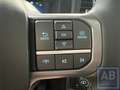 Ford F 150 F150 LARIAT Grau - thumbnail 21