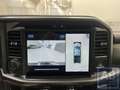 Ford F 150 F150 LARIAT Grau - thumbnail 16