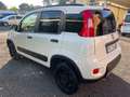 Fiat Panda 1.3 MJT 95 CV S&S 4x4 WILD Bianco - thumbnail 4