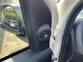Fiat Panda 1.3 MJT 95 CV S&S 4x4 WILD Bianco - thumbnail 12