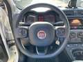 Fiat Panda 1.3 MJT 95 CV S&S 4x4 WILD Bianco - thumbnail 13