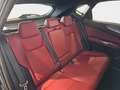 Lexus NX 300h 350h Executive 4WD Schwarz - thumbnail 12