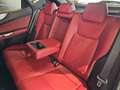 Lexus NX 300h 350h Executive 4WD Schwarz - thumbnail 14