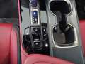 Lexus NX 300h 350h Executive 4WD Schwarz - thumbnail 31