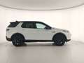 Land Rover Discovery Sport Discovery Sport 2.0D mhev HSE awd 163cv auto 7pti Wit - thumbnail 8