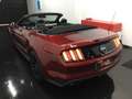 Ford Mustang Convertible 5.0 Ti-VCT GT Aut. - thumbnail 10