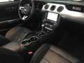 Ford Mustang Convertible 5.0 Ti-VCT GT Aut. - thumbnail 13