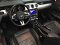 Ford Mustang Convertible 5.0 Ti-VCT GT Aut. - thumbnail 11