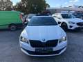 Skoda Superb Combi Sportline*BI-X*KAM*PANO*NAVI*19ZOLL Blanc - thumbnail 7