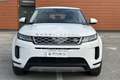 Land Rover Range Rover Evoque Range Rover Evoque 2.0D I4-L.Flw 150 CV AWD Auto S Blanc - thumbnail 2