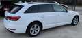 Audi A4 A4 Avant 2.0 tdi Business Plus  150cv S-Tronic Blanc - thumbnail 12