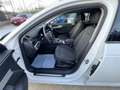 Audi A4 A4 Avant 2.0 tdi Business Plus  150cv S-Tronic Blanc - thumbnail 16