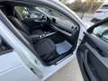Audi A4 A4 Avant 2.0 tdi Business Plus  150cv S-Tronic Blanc - thumbnail 19