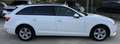 Audi A4 A4 Avant 2.0 tdi Business Plus  150cv S-Tronic Blanc - thumbnail 13
