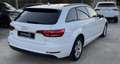 Audi A4 A4 Avant 2.0 tdi Business Plus  150cv S-Tronic Blanc - thumbnail 11
