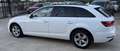 Audi A4 A4 Avant 2.0 tdi Business Plus  150cv S-Tronic Blanc - thumbnail 7