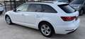 Audi A4 A4 Avant 2.0 tdi Business Plus  150cv S-Tronic Blanc - thumbnail 8