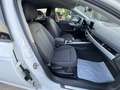 Audi A4 A4 Avant 2.0 tdi Business Plus  150cv S-Tronic Blanc - thumbnail 20