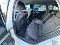 Audi A4 A4 Avant 2.0 tdi Business Plus  150cv S-Tronic Blanc - thumbnail 21