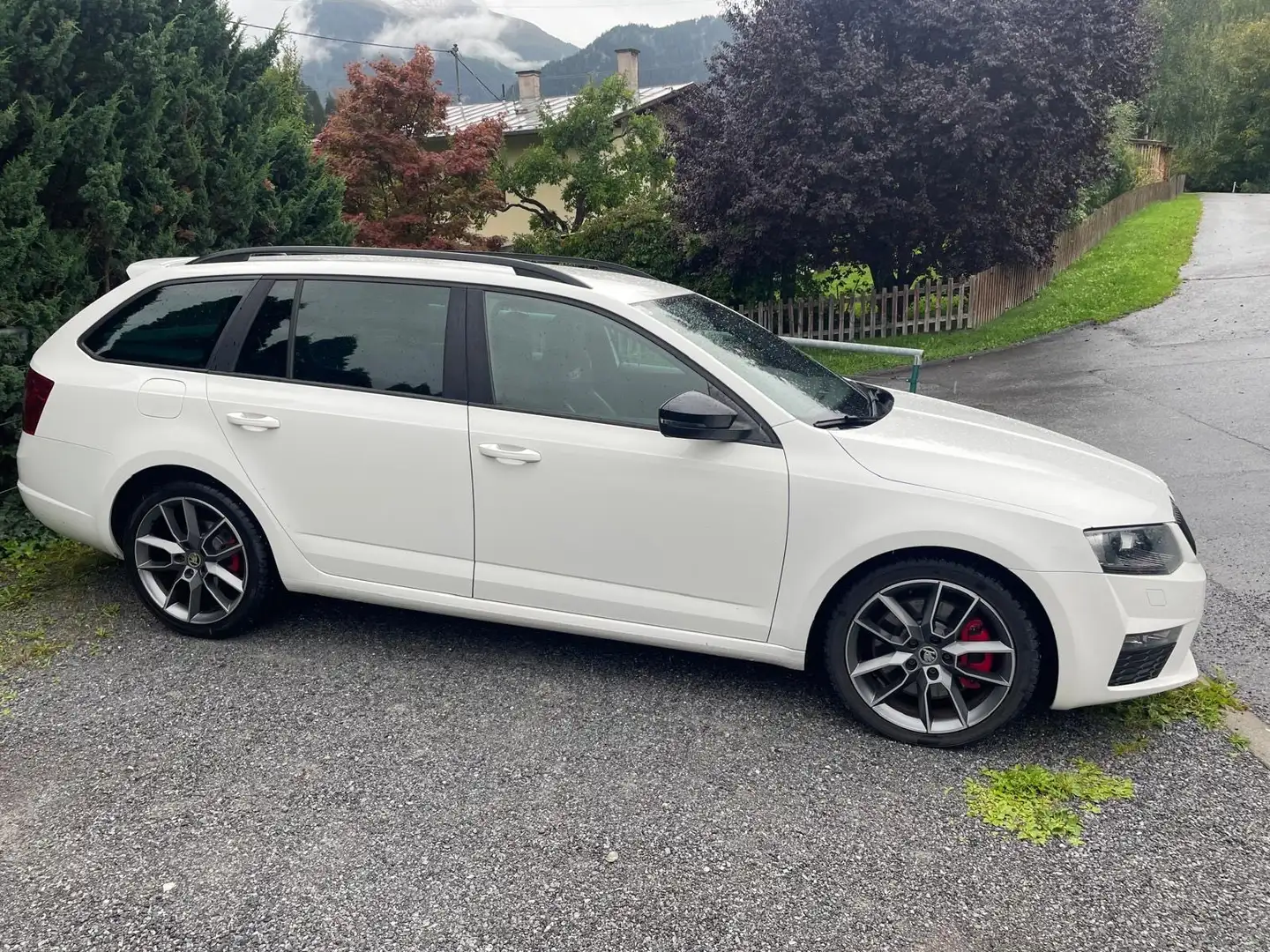 Skoda Octavia Combi RS 2,0 TDI Green tec - 1