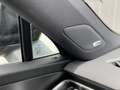 Skoda Kodiaq RS 2.0 TSI 4x4+7Sitzer+Panorama+StandH+360°+Canton Negro - thumbnail 22