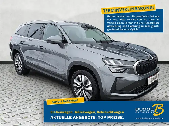 Skoda Kodiaq 1.5 TSI iV DSG Selection Navi / ACC / AHK