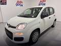 Fiat Panda Panda 1.0 FireFly S&S Hybrid *PROMO* Blanc - thumbnail 1