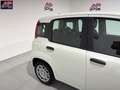 Fiat Panda Panda 1.0 FireFly S&S Hybrid *PROMO* Blanc - thumbnail 12