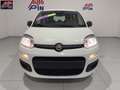 Fiat Panda Panda 1.0 FireFly S&S Hybrid *PROMO* Blanc - thumbnail 2