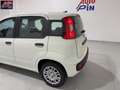Fiat Panda Panda 1.0 FireFly S&S Hybrid *PROMO* Blanc - thumbnail 11