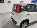 Fiat Panda Panda 1.0 FireFly S&S Hybrid *PROMO* Blanc - thumbnail 13
