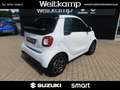 smart forTwo fortwo cabrio 52kW Prime Aut. Media/LED/Uvm Autom. Weiß - thumbnail 6