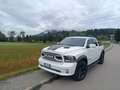 Dodge RAM Ram 1500 5.7 V8 Crew Cab Limited Sport 395cv at8 Bianco - thumbnail 14