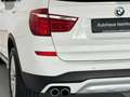BMW X3 xD30d xLine HUD Kamera Xenon NaviPro Panorama bijela - thumbnail 10