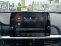 Kia Picanto 1.0 GPL 65cv URBAN USATO GARANTITO Rouge - thumbnail 14