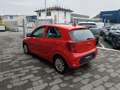 Kia Picanto 1.0 GPL 65cv URBAN USATO GARANTITO Rouge - thumbnail 5